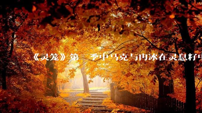 《灵笼》第二季中马克与冉冰在灵息籽中的重逢引发了世纪虐恋的讨论，如何评价这种情感设定？