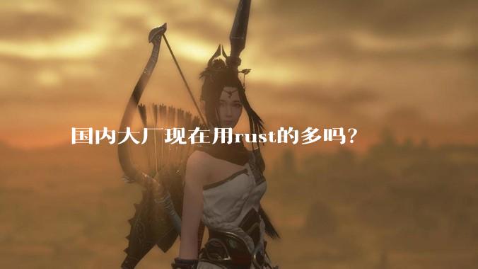 国内大厂现在用rust的多吗？