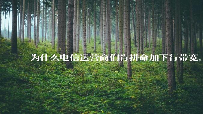 为什么电信运营商们肯拼命加下行带宽，却对上行严防死守?